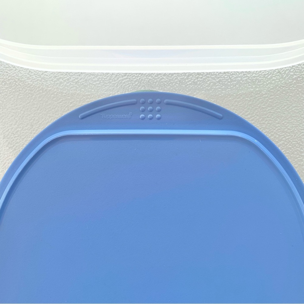 Tupperware Fridge Stackables Deli Meat Keeper Stacking Trays with Blue Lid - Picture 8 of 9